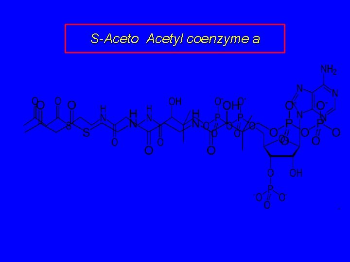 S-Aceto Acetyl coenzyme a 