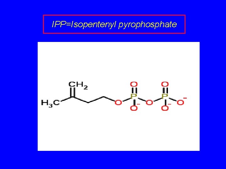 IPP=Isopentenyl pyrophosphate 