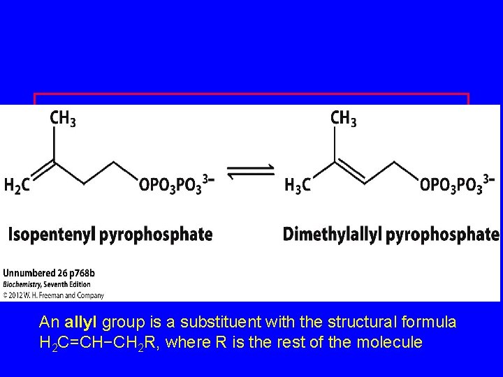 DPP=Dimethyallyl pyrophosphate An allyl group is a substituent with the structural formula H 2