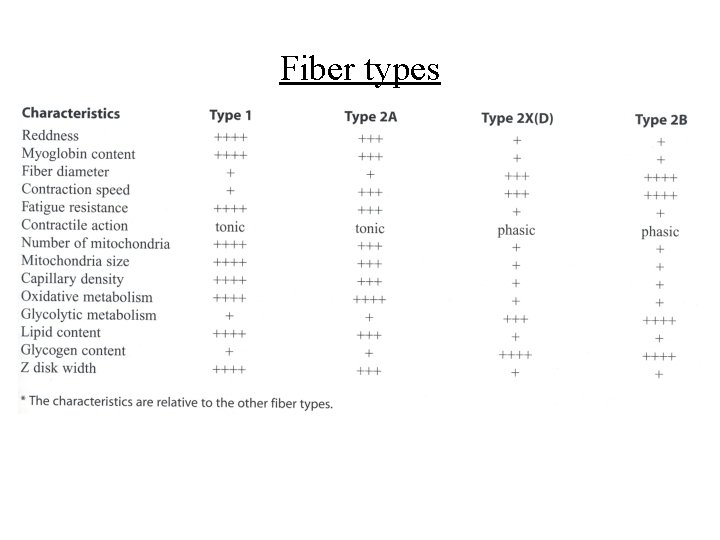 Fiber types 