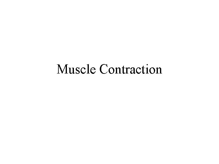 Muscle Contraction 