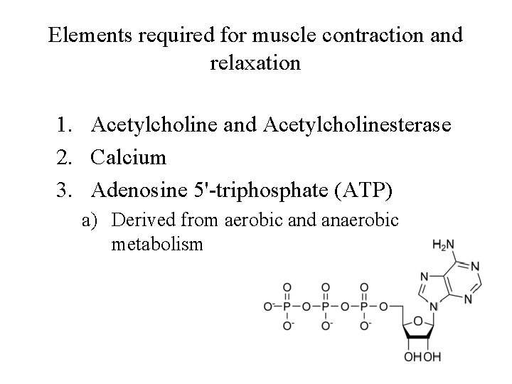 Elements required for muscle contraction and relaxation 1. Acetylcholine and Acetylcholinesterase 2. Calcium 3.