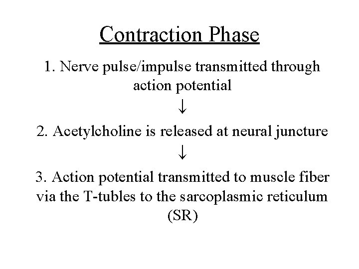 Contraction Phase 1. Nerve pulse/impulse transmitted through action potential 2. Acetylcholine is released at