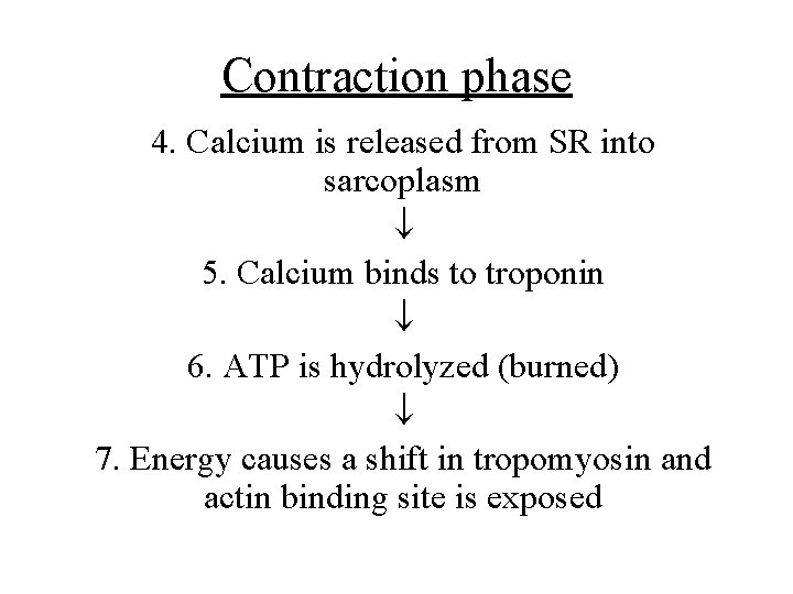 Contraction phase 4. Calcium is released from SR into sarcoplasm 5. Calcium binds to