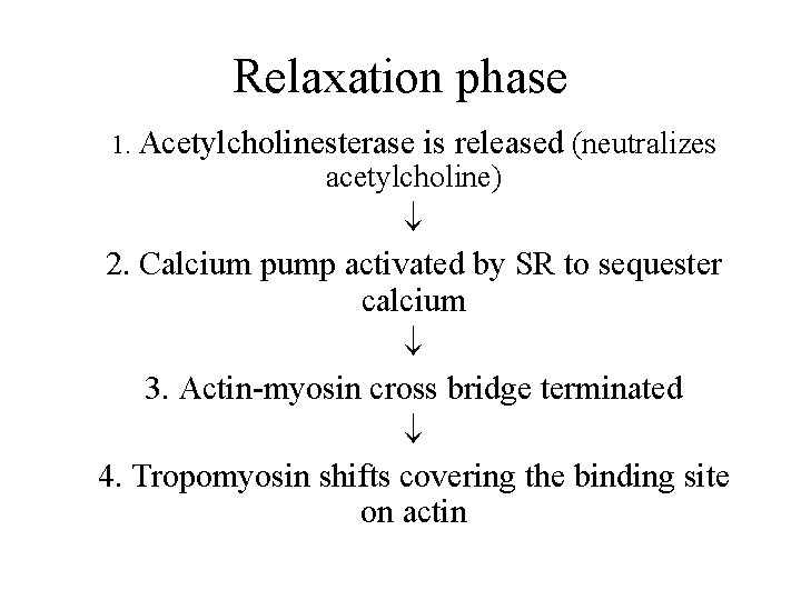 Relaxation phase 1. Acetylcholinesterase is released (neutralizes acetylcholine) 2. Calcium pump activated by SR