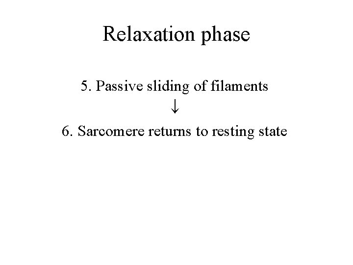 Relaxation phase 5. Passive sliding of filaments 6. Sarcomere returns to resting state 