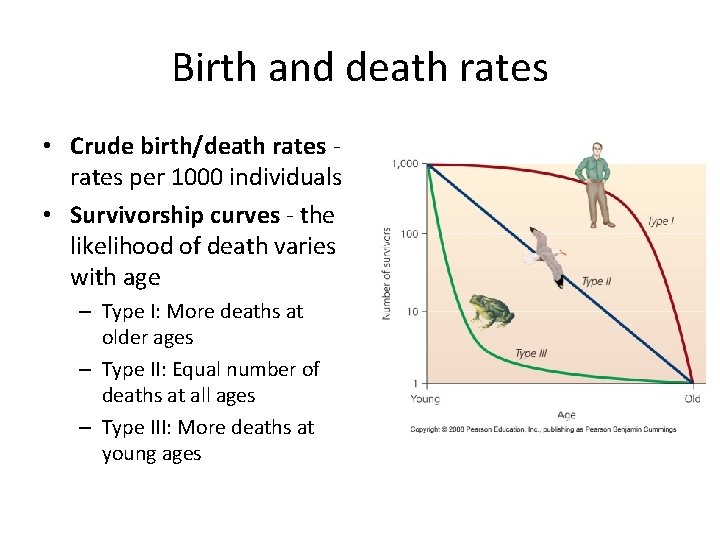 Birth and death rates • Crude birth/death rates per 1000 individuals • Survivorship curves