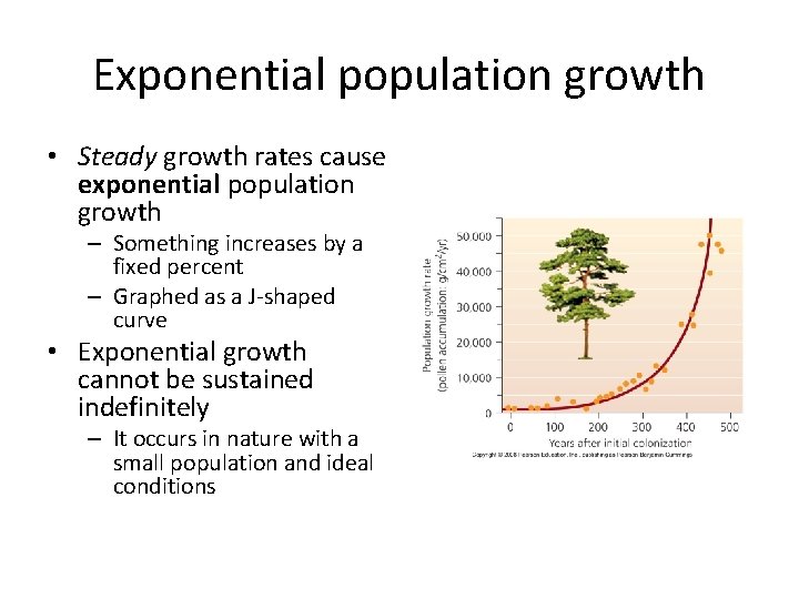 Exponential population growth • Steady growth rates cause exponential population growth – Something increases