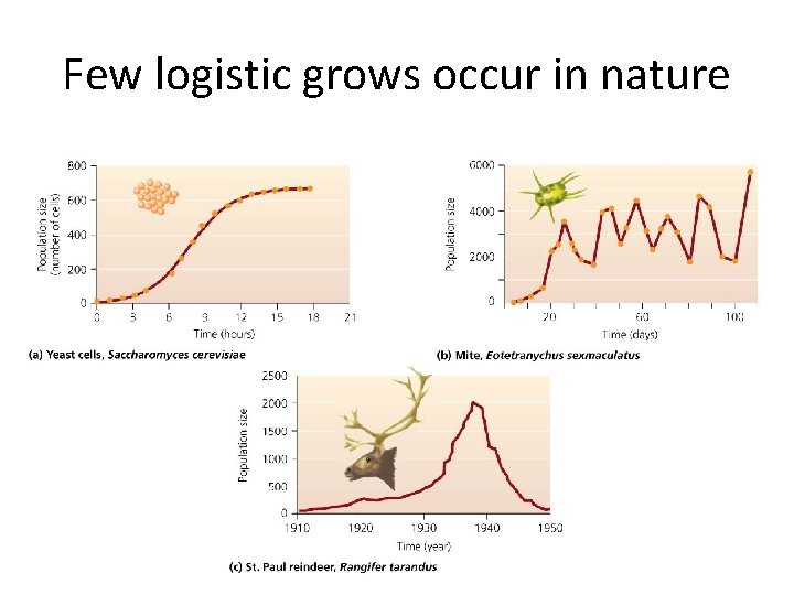 Few logistic grows occur in nature 