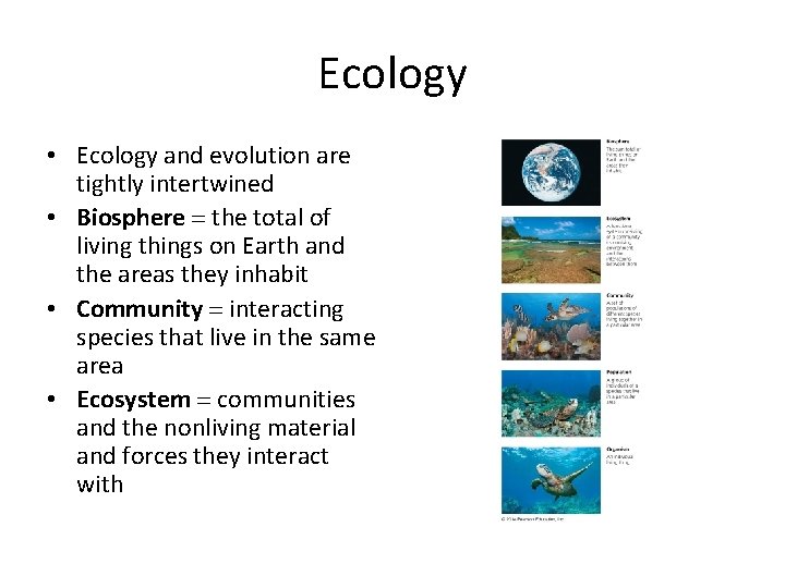 Ecology • Ecology and evolution are tightly intertwined • Biosphere = the total of