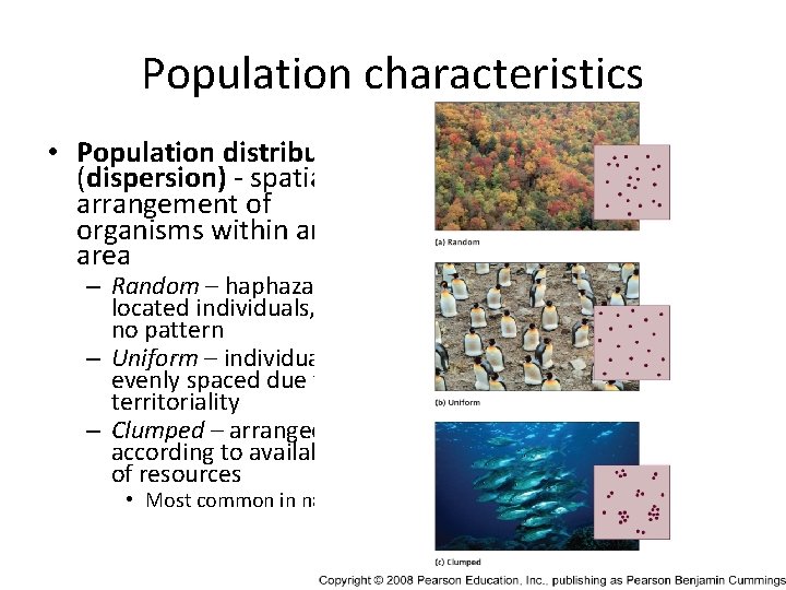 Population characteristics • Population distribution (dispersion) - spatial arrangement of organisms within an area