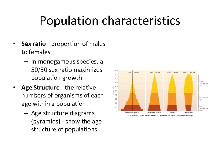 Population characteristics • Sex ratio - proportion of males to females – In monogamous