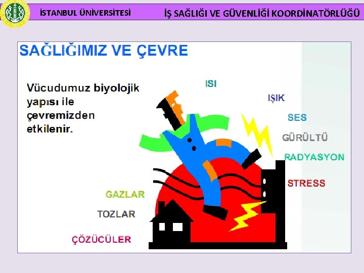 İSTANBUL ÜNİVERSİTESİ İŞ SAĞLIĞI VE GÜVENLİĞİ KOORDİNATÖRLÜĞÜ 