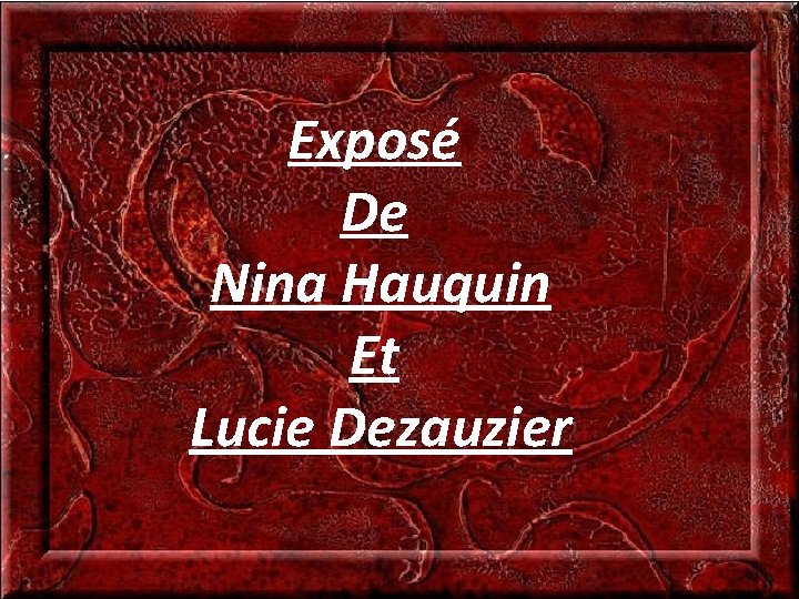 Exposé De Nina Hauquin Et Lucie Dezauzier 