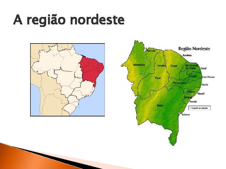 A região nordeste 