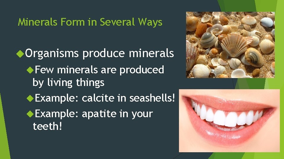 Minerals Form in Several Ways Organisms Few produce minerals are produced by living things