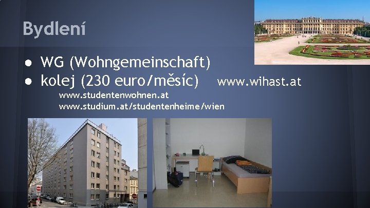 Bydlení ● WG (Wohngemeinschaft) ● kolej (230 euro/měsíc) www. wihast. at www. studentenwohnen. at