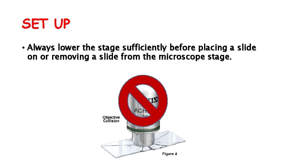 SET UP • Always lower the stage sufficiently before placing a slide on or
