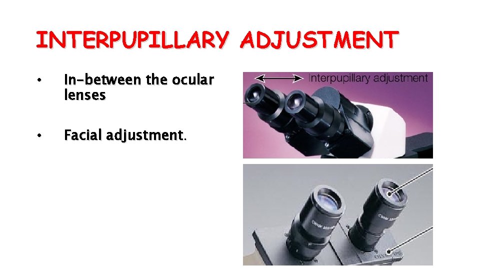 INTERPUPILLARY ADJUSTMENT • In-between the ocular lenses • Facial adjustment. 