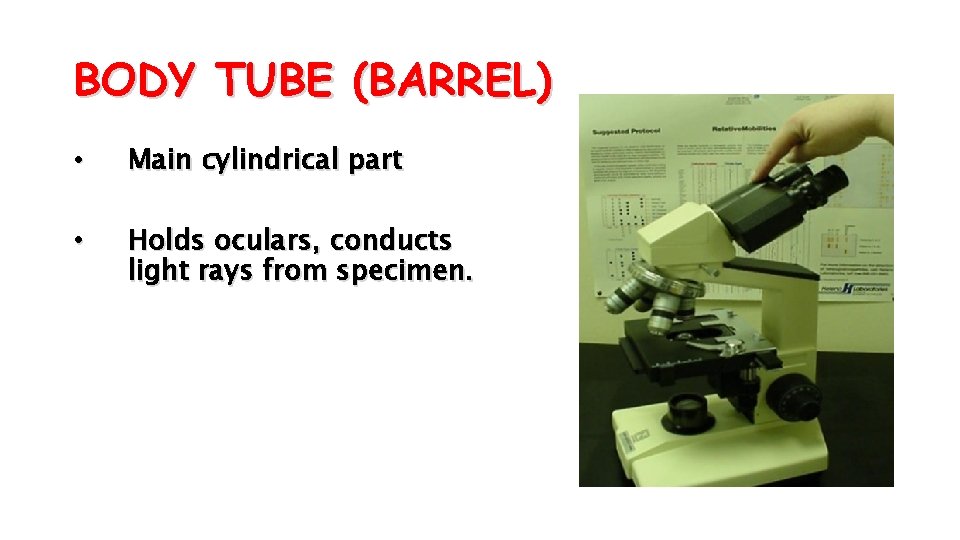 BODY TUBE (BARREL) • Main cylindrical part • Holds oculars, conducts light rays from