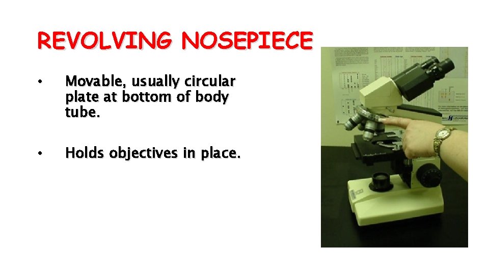 REVOLVING NOSEPIECE • Movable, usually circular plate at bottom of body tube. • Holds