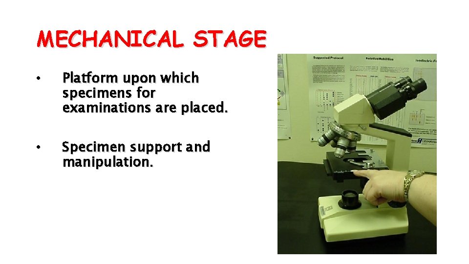 MECHANICAL STAGE • Platform upon which specimens for examinations are placed. • Specimen support