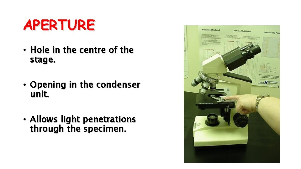 APERTURE • Hole in the centre of the stage. • Opening in the condenser