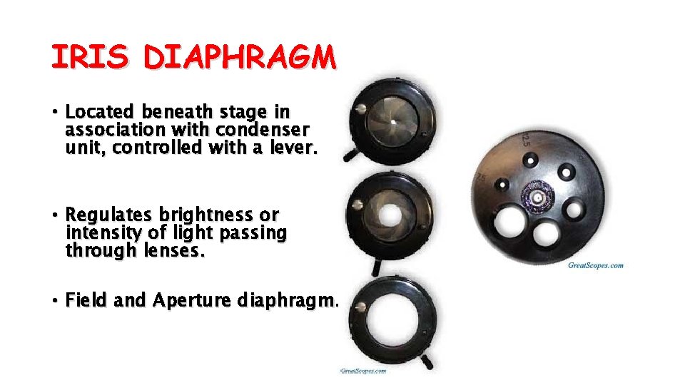 IRIS DIAPHRAGM • Located beneath stage in association with condenser unit, controlled with a