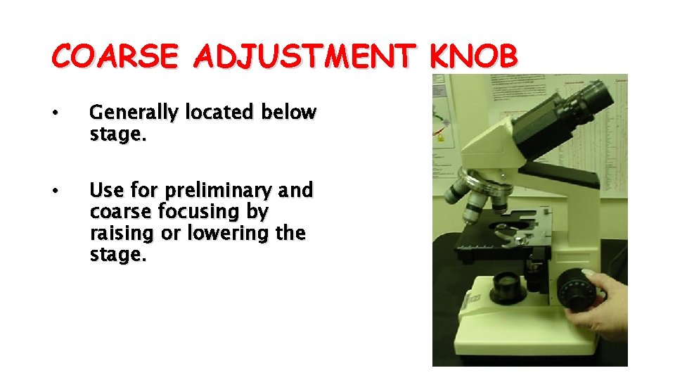 COARSE ADJUSTMENT KNOB • Generally located below stage. • Use for preliminary and coarse