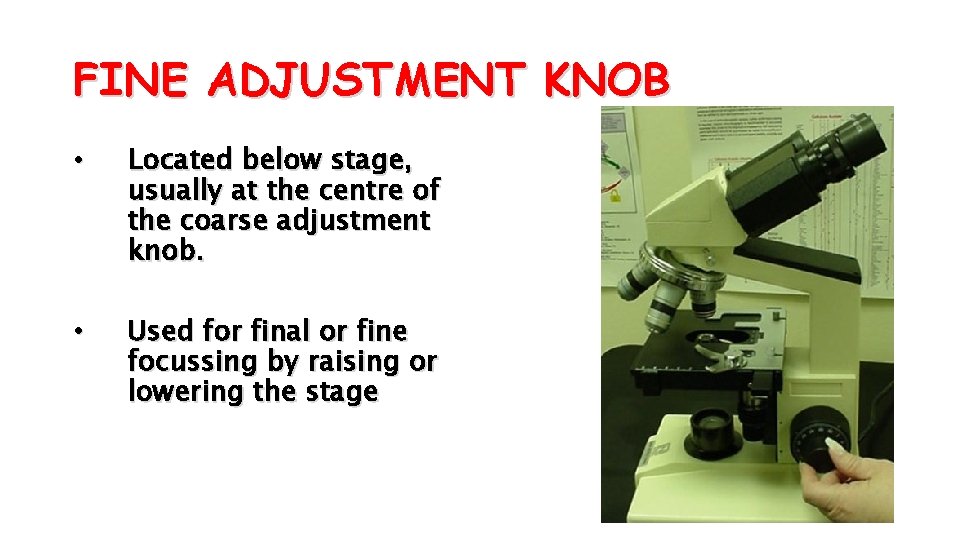 FINE ADJUSTMENT KNOB • Located below stage, usually at the centre of the coarse
