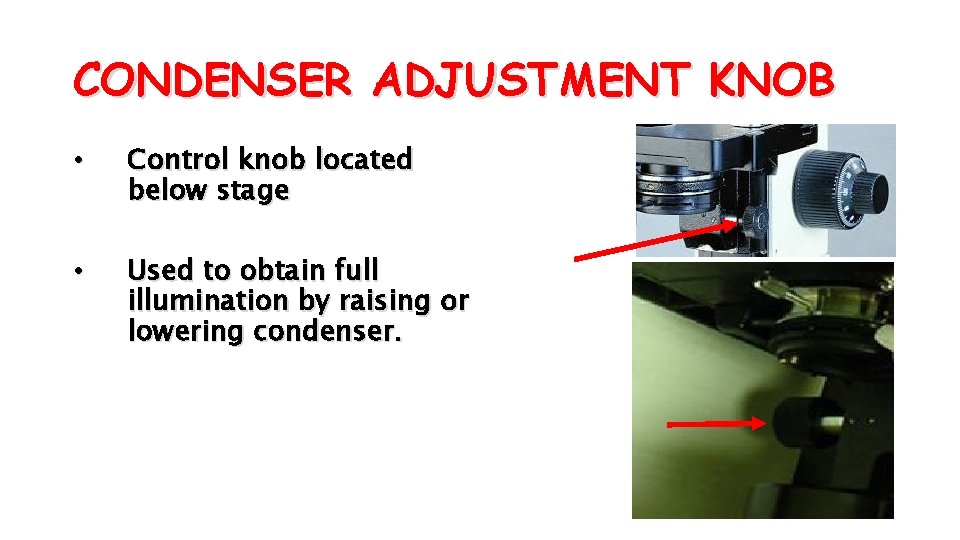 CONDENSER ADJUSTMENT KNOB • Control knob located below stage • Used to obtain full
