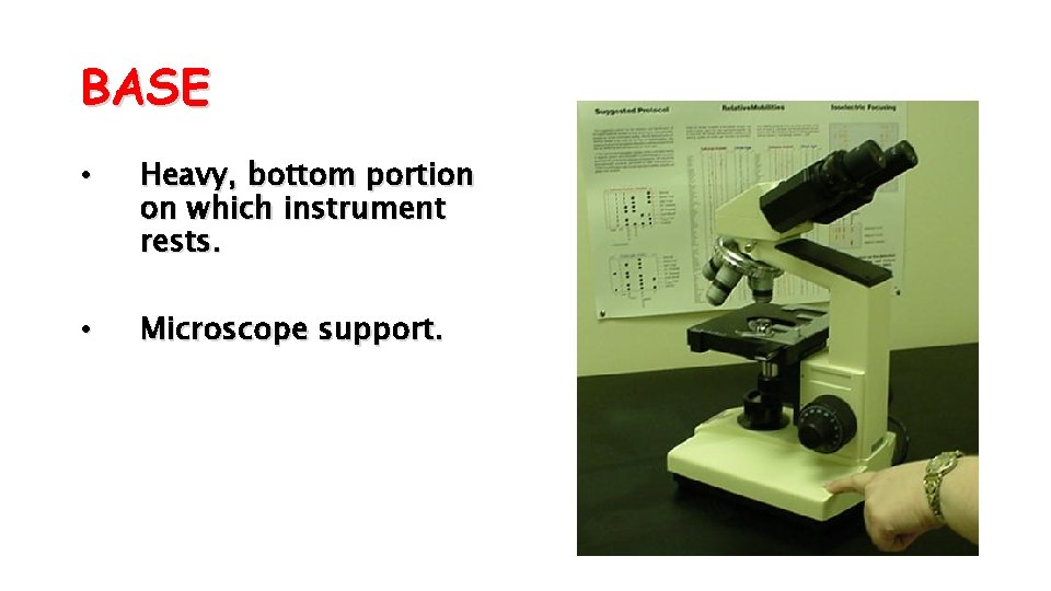 BASE • Heavy, bottom portion on which instrument rests. • Microscope support. 