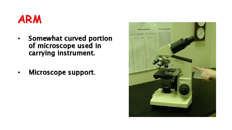 ARM • Somewhat curved portion of microscope used in carrying instrument. • Microscope support.