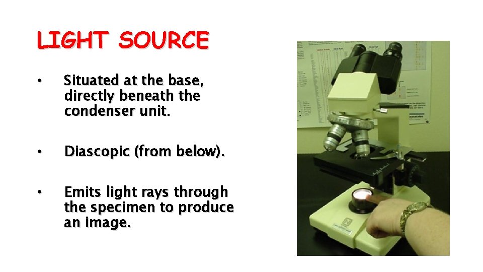 LIGHT SOURCE • Situated at the base, directly beneath the condenser unit. • Diascopic