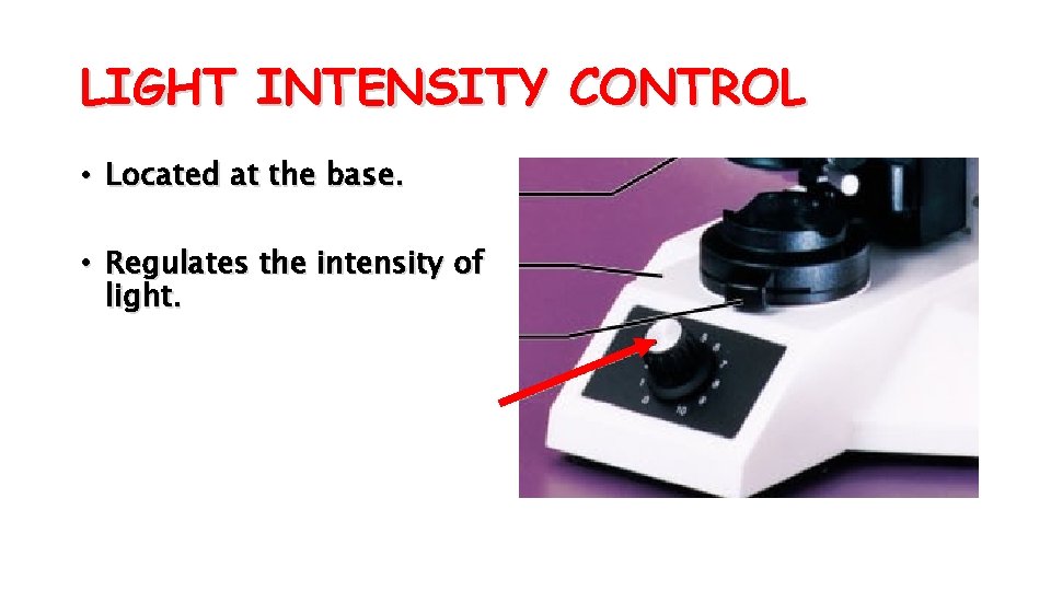 LIGHT INTENSITY CONTROL • Located at the base. • Regulates the intensity of light.