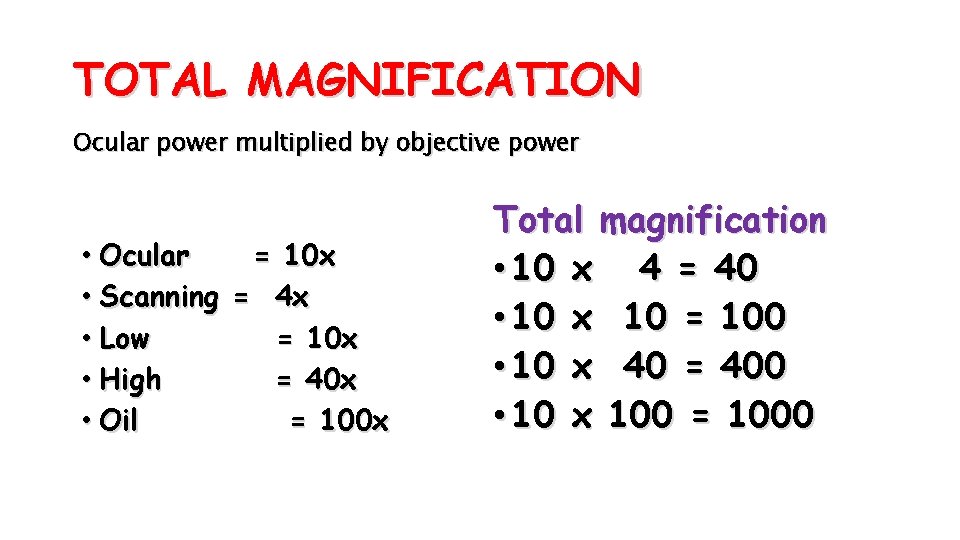 TOTAL MAGNIFICATION Ocular power multiplied by objective power • Ocular = 10 x •