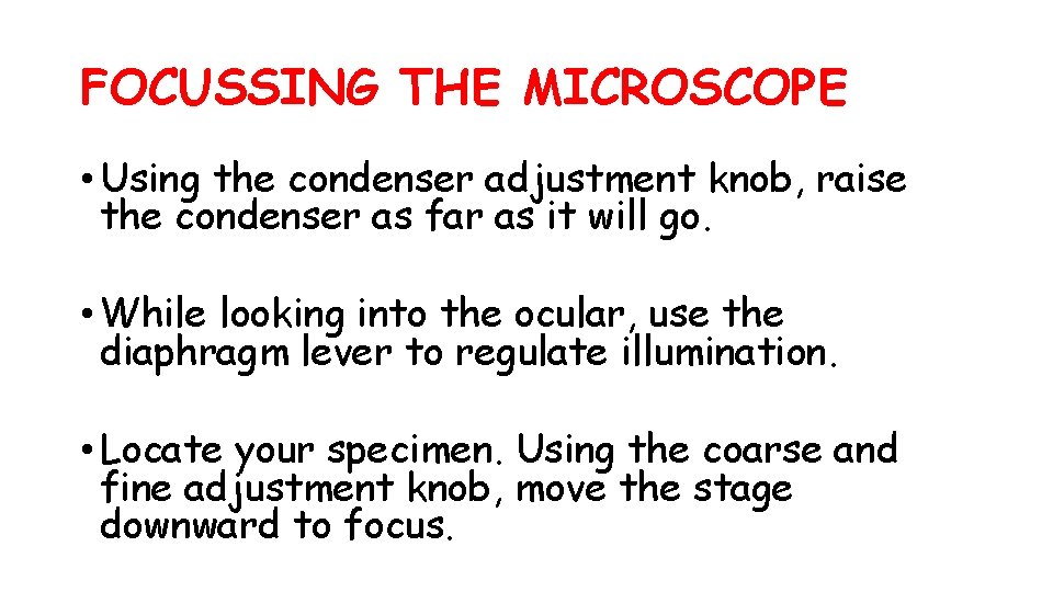 FOCUSSING THE MICROSCOPE • Using the condenser adjustment knob, raise the condenser as far