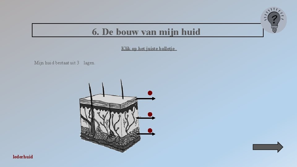 6. De bouw van mijn huid Klik op het juiste bolletje Mijn huid bestaat