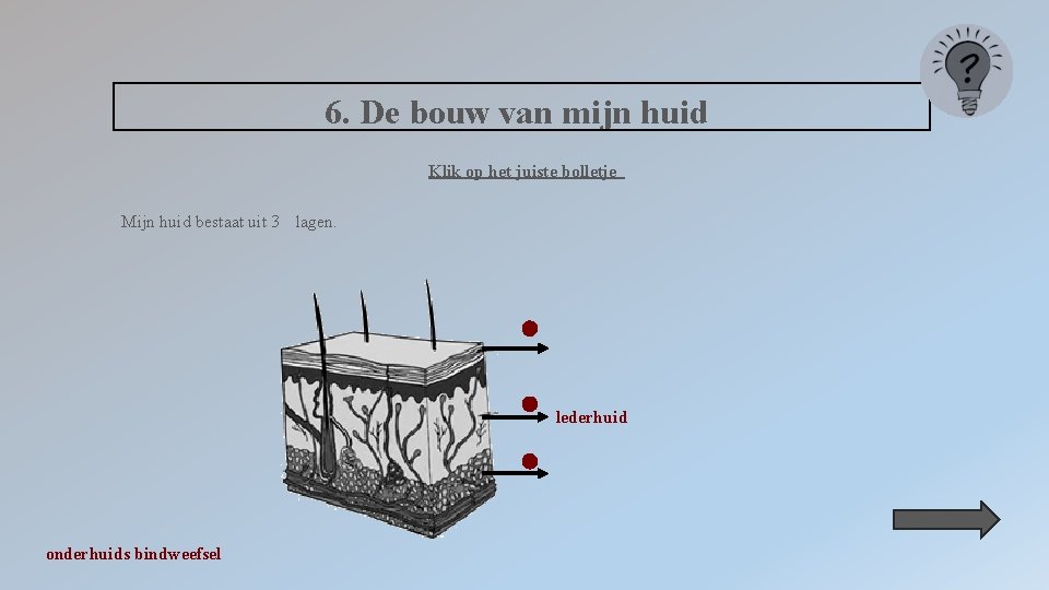 6. De bouw van mijn huid Klik op het juiste bolletje Mijn huid bestaat
