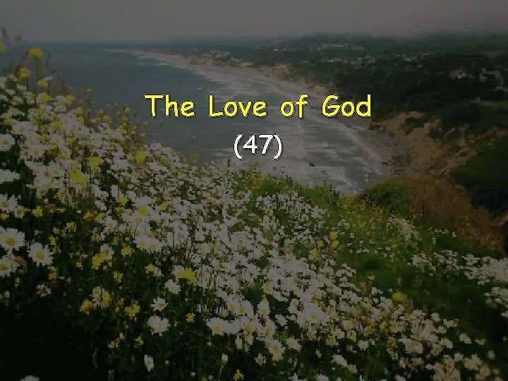 The Love of God (47) 