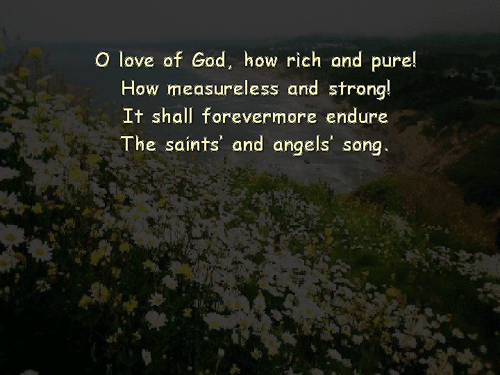 O love of God, how rich and pure! How measureless and strong! It shall