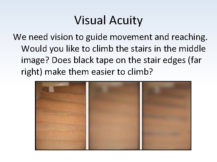 Visual Acuity We need vision to guide movement and reaching. Would you like to
