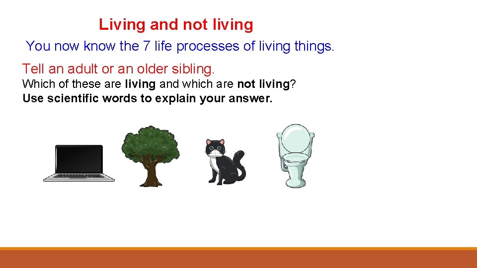 Living and not living You now know the 7 life processes of living things.
