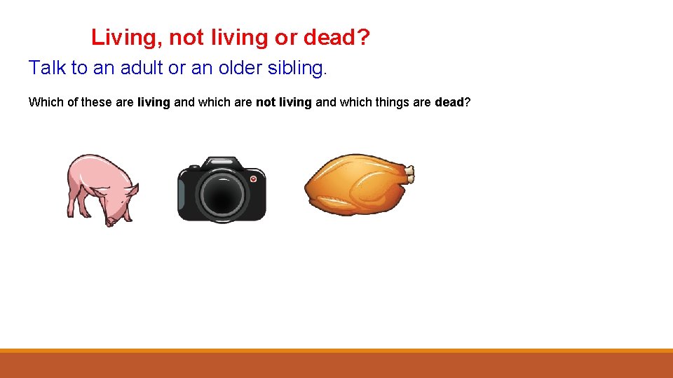 Living, not living or dead? Talk to an adult or an older sibling. Which