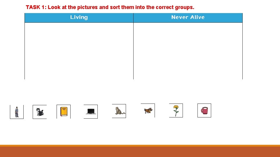 TASK 1: Look at the pictures and sort them into the correct groups. 