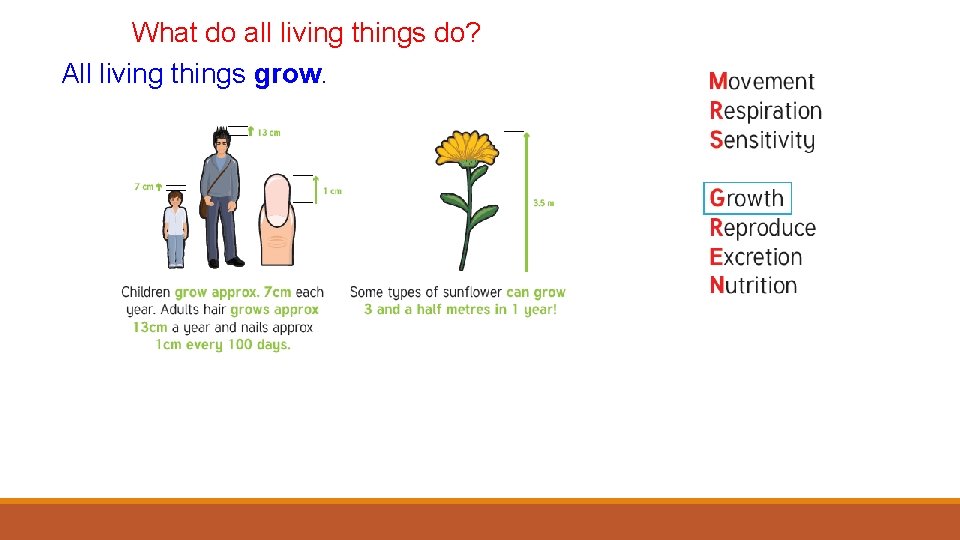 What do all living things do? All living things grow. 