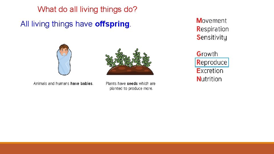 What do all living things do? All living things have offspring. 