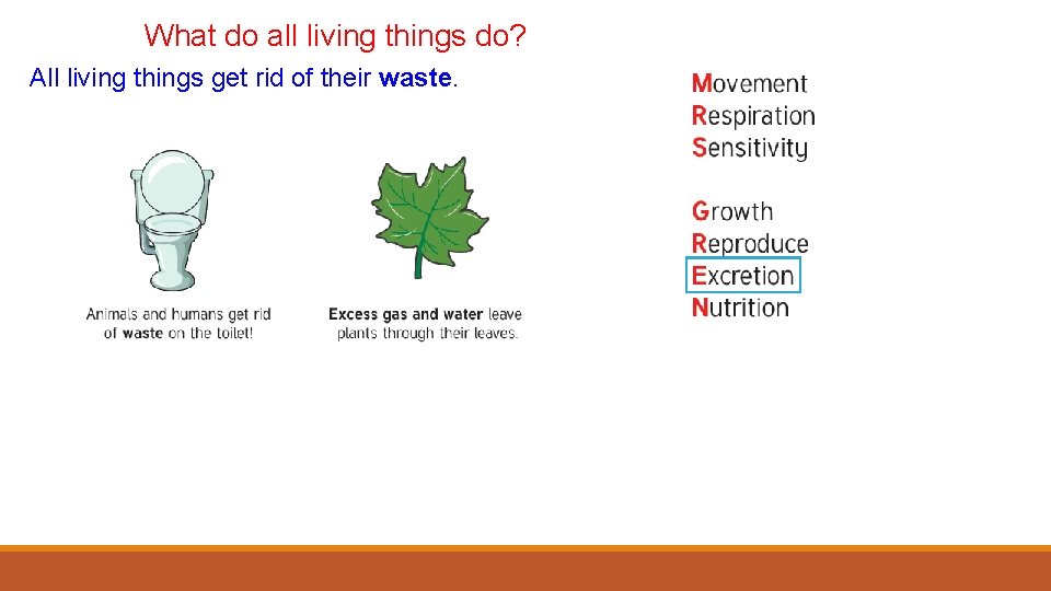 What do all living things do? All living things get rid of their waste.