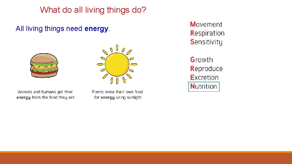 What do all living things do? All living things need energy. 