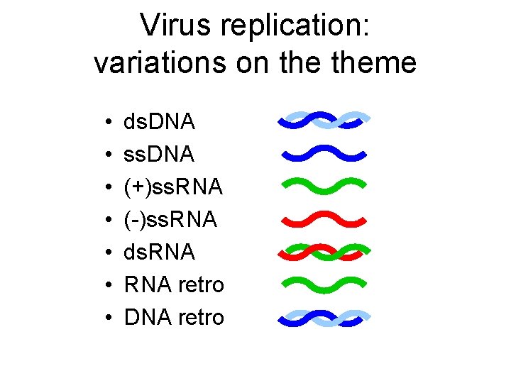 Virus replication: variations on theme • • ds. DNA ss. DNA (+)ss. RNA (-)ss.